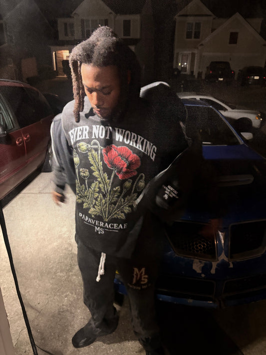Papaveraceae Poppy Tee